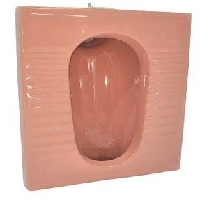 Best Indian Toilet Repair